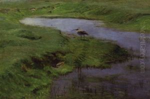 Spove Ved Et Vandhul, Rorvig