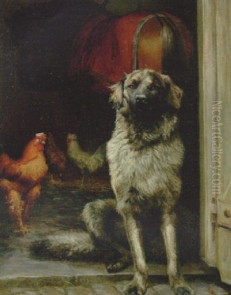 Hundeportraet - view 1