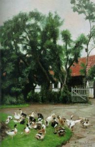Geflugelschar Im Hof Eines Malerischen Anwesens An Einem Sommertag