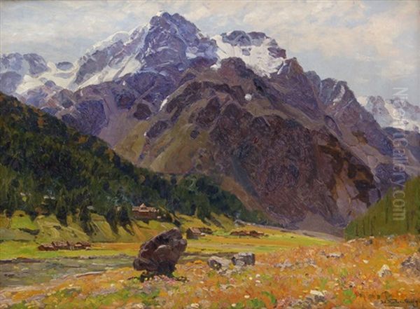 Alpenwiese Mit Bergmassiv - view 1