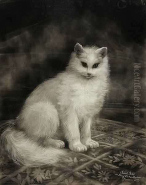 Weisse Katze - view 1