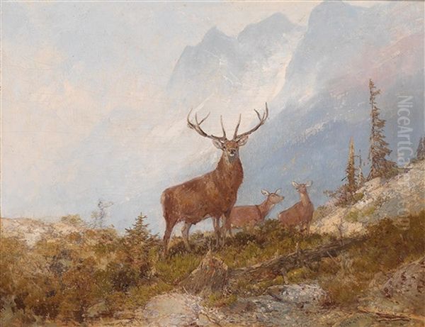 Fine Stag - view 1
