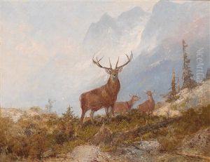 Fine Stag