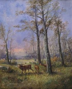Jahreszeitenbild: Rotwild Im Herbstwald