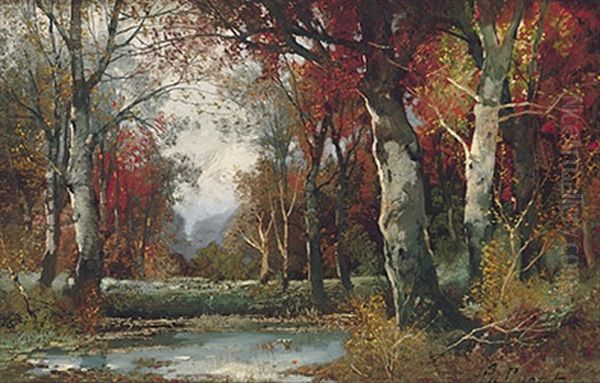Herbstliche Waldlandschaft Mit Teich - view 1