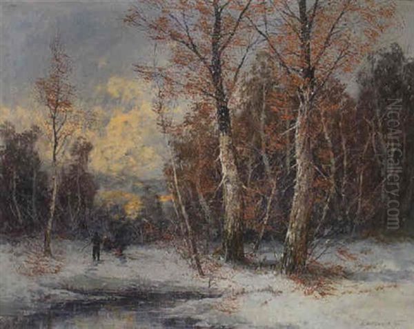 Winterwald - view 1