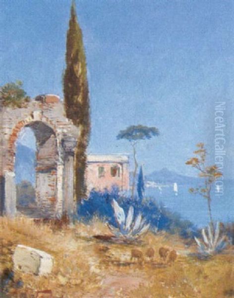 Auf Corfu - view 1