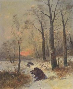 Wildschweine Im Schnee Wildschweine Im Schnee