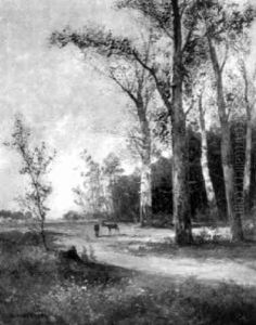 Landschaft Mit Reben
