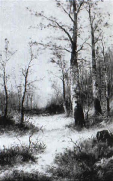 Verschneite Lichtung An Einem Winterlichen Sp,tnachmittag - view 1