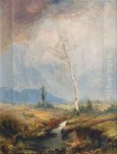 The Dachau Moor