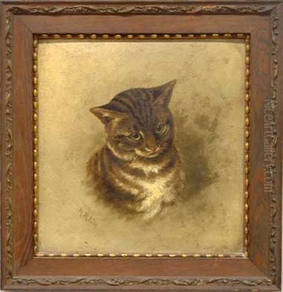 Tiger-striped Tabby - view 1