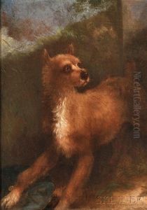 Terrier