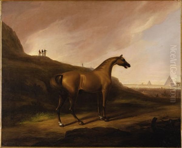Napoleon's Horse - view 1