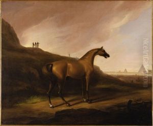Napoleon's Horse
