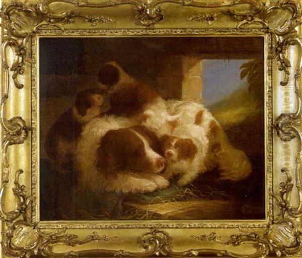 Spaniel With Pups In A Barn - view 1