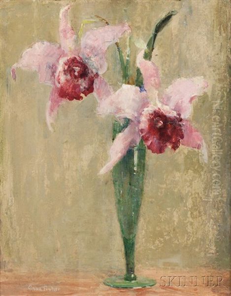 Orchids - view 1