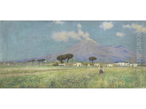 A Summer Meadow, Vesuvius In The Distance - view 1
