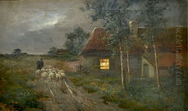Resting Home With The Flock - view 1