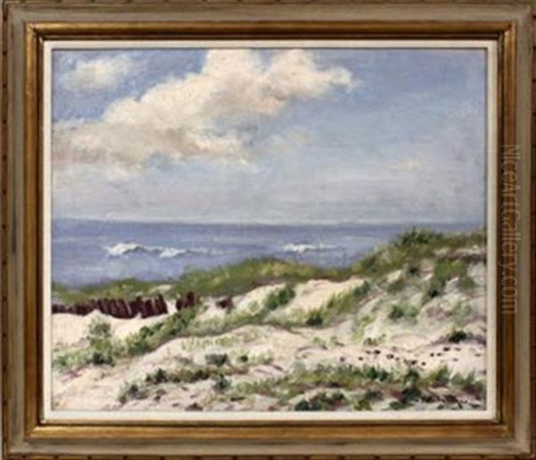 Coastline With Sand Dunes - view 1