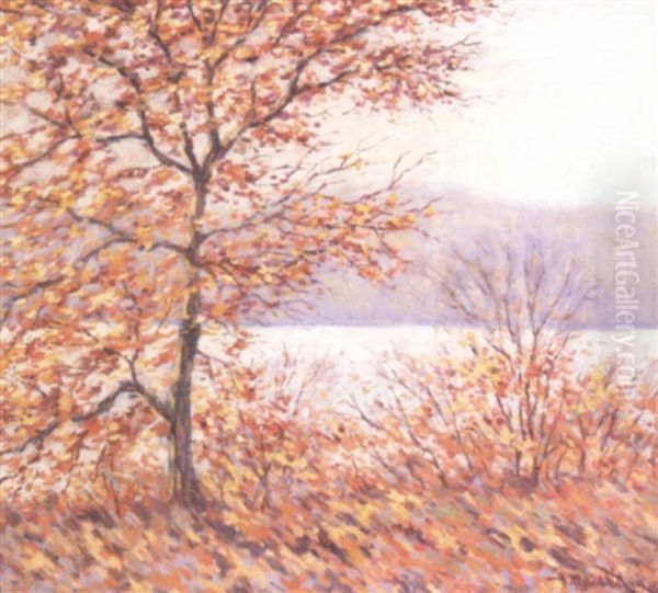 Fall Landscape - view 1