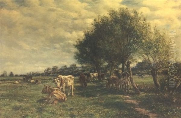 Cattle Amongst Willow Trees In A Meadow - view 1