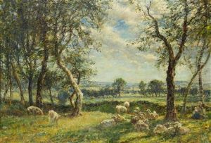 Sheep Resting Beneath The Shade Of A Tree by Mark Fisher