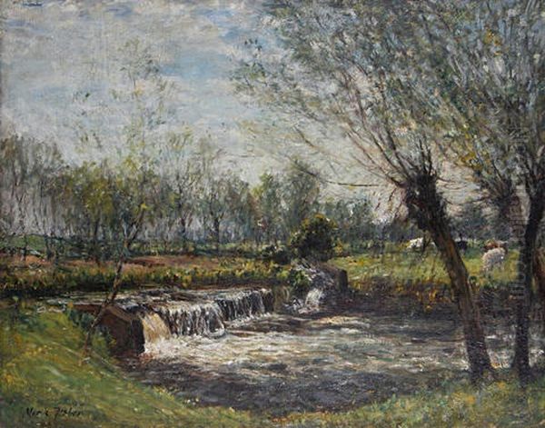 A Weir With Cattle Grazing Beyond - view 1