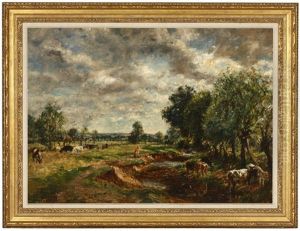 Cattle Watering And Grazing Near A Stream