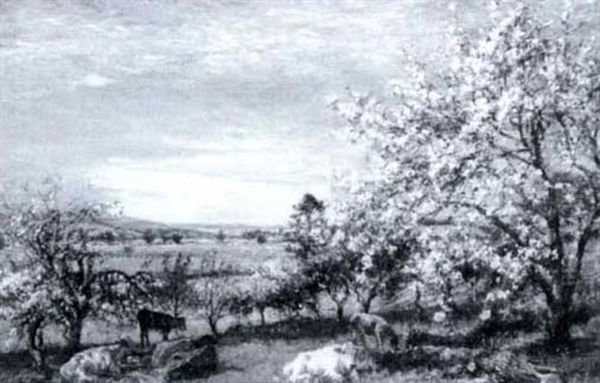 Springtime In Wharfedale - view 1