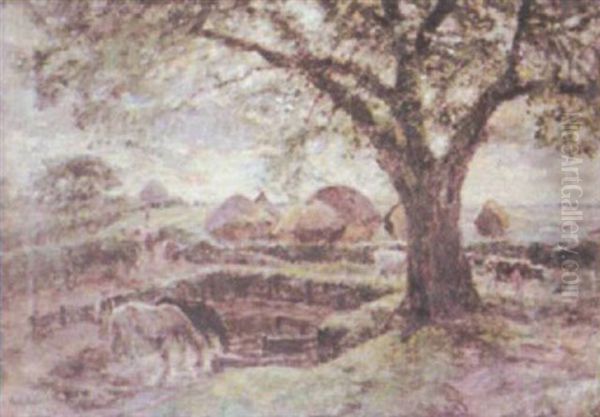 The Great Oak - view 1