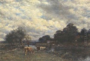 Cattle Grazing In A River Landscape Cattle Grazing In A River Landscape