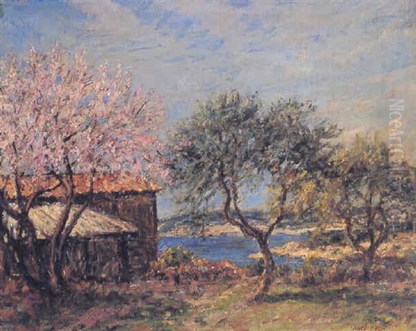 Almond Blossom - view 1