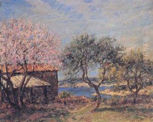 Almond Blossom Almond Blossom