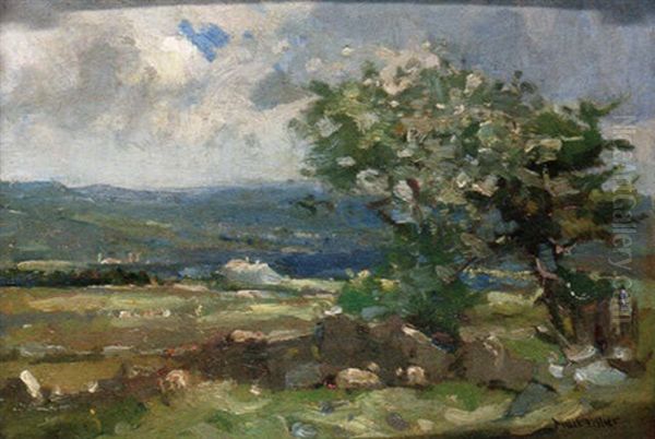 A Breezy Day - view 1