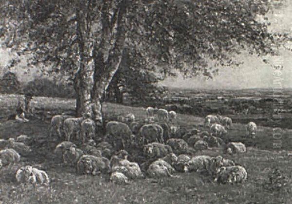 Shepherd And His Flock Resting Under A Tree - view 1