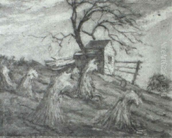 Windy Hill - view 1