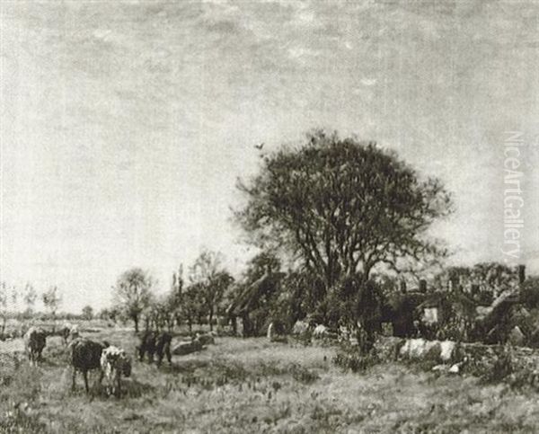 A Summer's Day - view 1