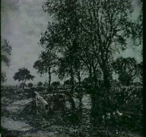 A Shaded Watering-place