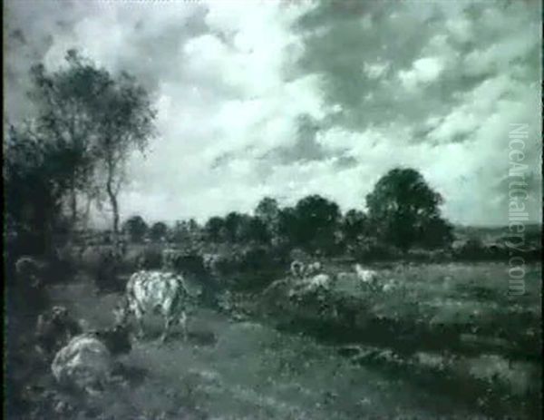 Cows Grazing In The Afternoon - view 1