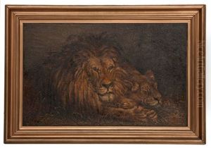 Lion And Lioness