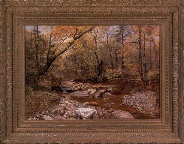 Brook In Autumn - view 1