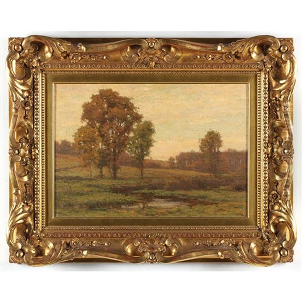 Landscape - view 1