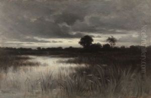 In The Marshes In The Marshes