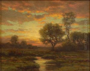 Sunset Scene Sunset Scene