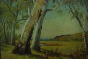 Under The Gum Trees Under The Gum Trees