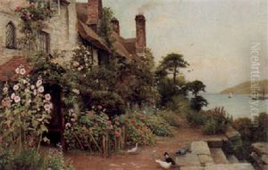 Blommande Tradgard