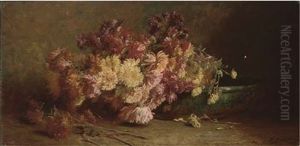 Crysanthemums Crysanthemums