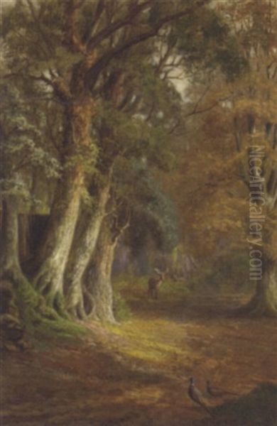 A Woodland Glade - view 1