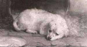 A Sleeping Puppy A Sleeping Puppy